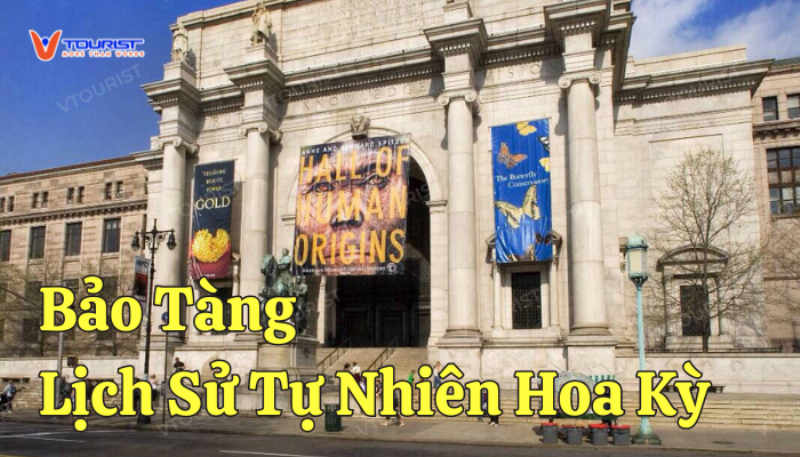 Trưng bày về lịch sử sự sống trên Trái đất tại Bảo tàng Thiên nhiên Việt Nam, bao gồm các mô hình và hóa thạch